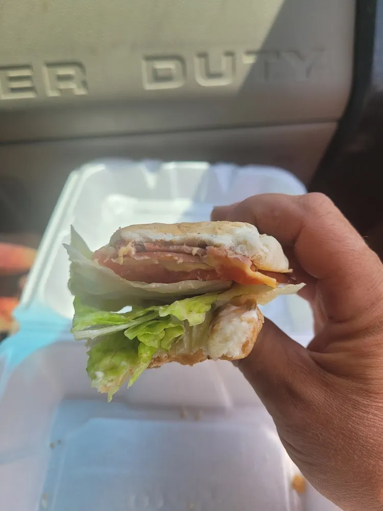 Ham and Cheese Delight Cold Sandwich